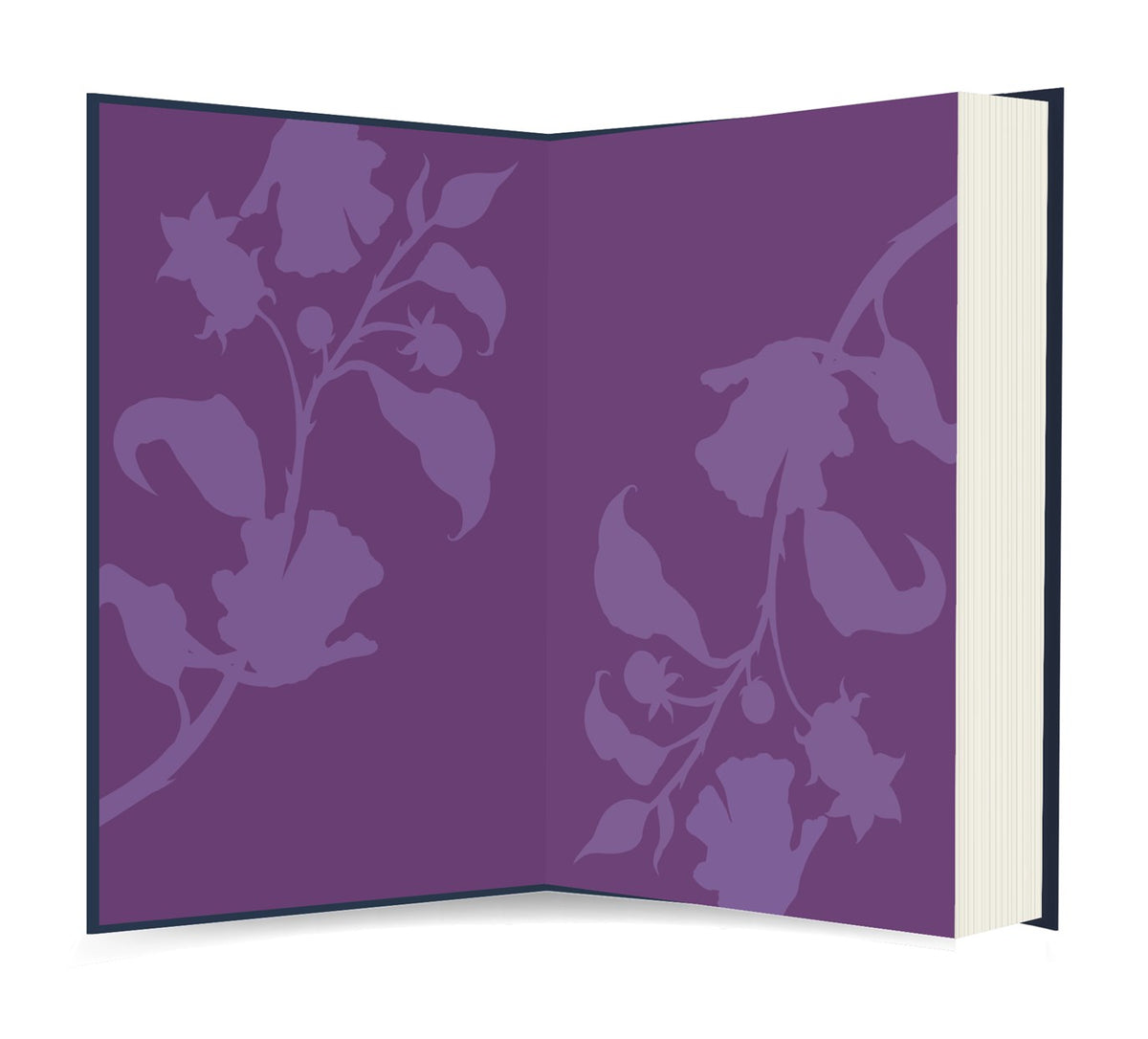 The Poison Daughter by Sheila Masterson